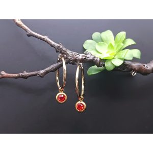 Simple and Stylish Crystal Stainless Steel Earrings (Red)